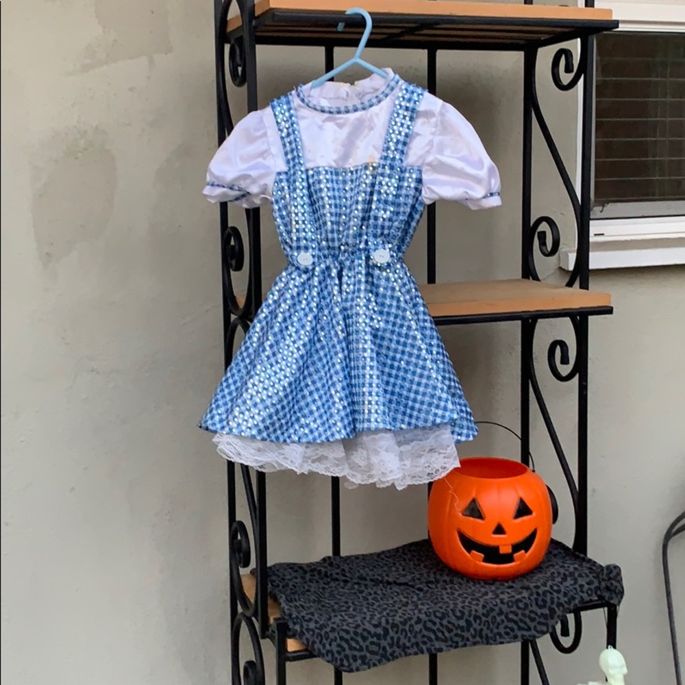 Girls Dorthy Halloween costume